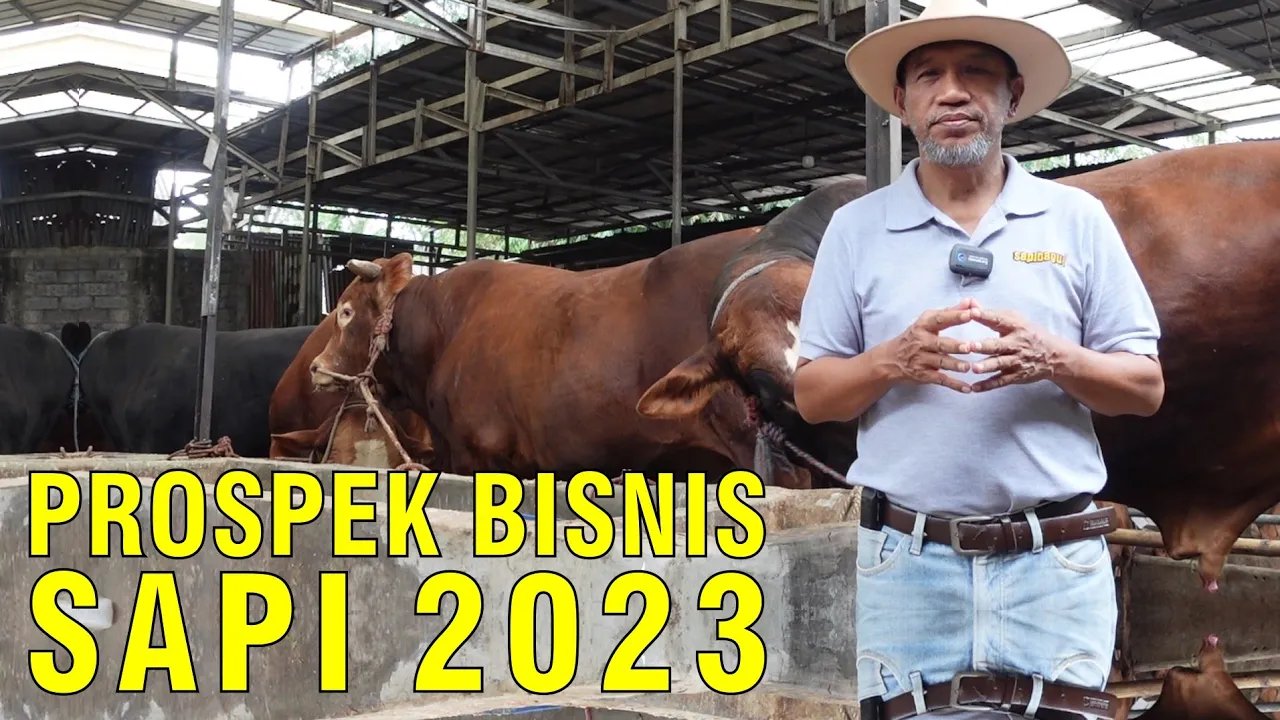 
                                 Prospek-Bisnis-Sapi-2023
